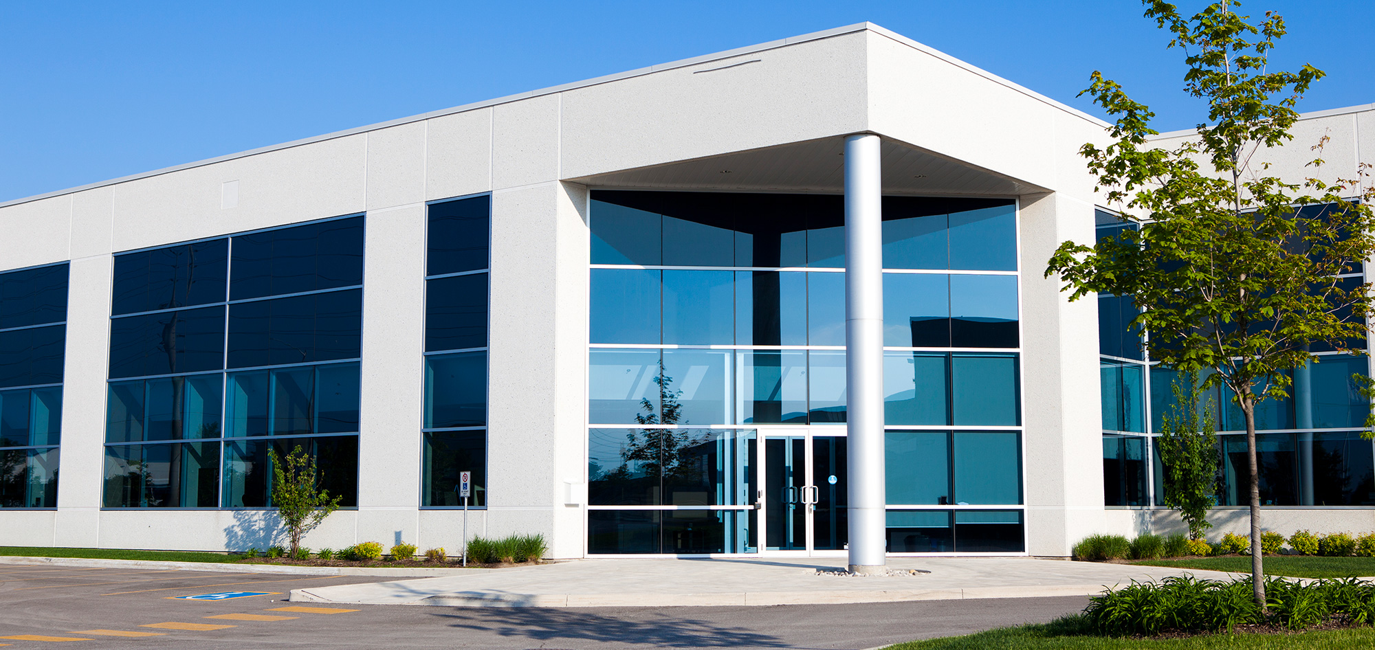 Landscape Contractor In Ventura County